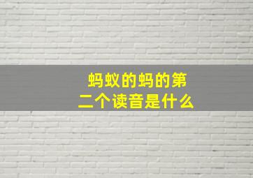 蚂蚁的蚂的第二个读音是什么