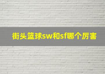 街头篮球sw和sf哪个厉害