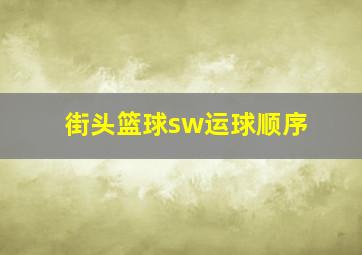 街头篮球sw运球顺序