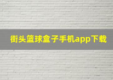 街头篮球盒子手机app下载