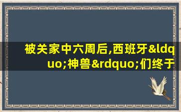 被关家中六周后,西班牙“神兽”们终于能出门撒欢了