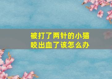 被打了两针的小猫咬出血了该怎么办