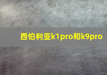 西伯利亚k1pro和k9pro