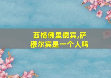 西格佛里德宾,萨穆尔宾是一个人吗