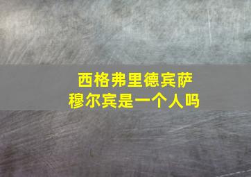 西格弗里德宾萨穆尔宾是一个人吗