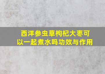 西洋参虫草枸杞大枣可以一起煮水吗功效与作用