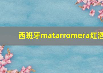 西班牙matarromera红酒