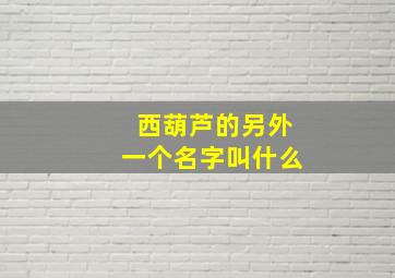 西葫芦的另外一个名字叫什么