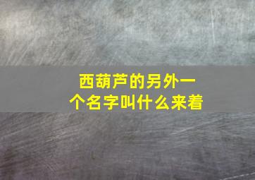 西葫芦的另外一个名字叫什么来着