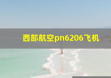 西部航空pn6206飞机