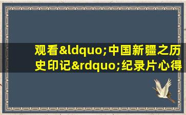 观看“中国新疆之历史印记”纪录片心得体会