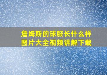 詹姆斯的球服长什么样图片大全视频讲解下载