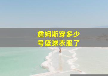 詹姆斯穿多少号篮球衣服了