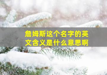 詹姆斯这个名字的英文含义是什么意思啊