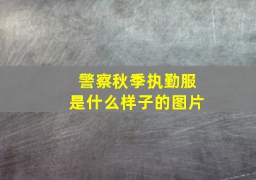 警察秋季执勤服是什么样子的图片