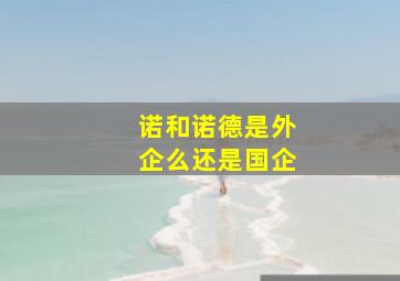 诺和诺德是外企么还是国企