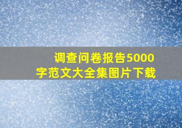 调查问卷报告5000字范文大全集图片下载