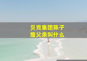 贝克集团陈子煌父亲叫什么