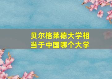 贝尔格莱德大学相当于中国哪个大学