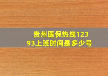 贵州医保热线12393上班时间是多少号