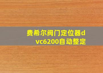 费希尔阀门定位器dvc6200自动整定