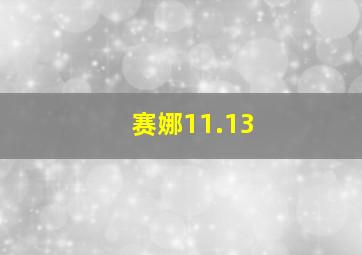 赛娜11.13