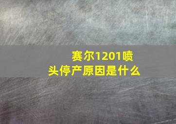 赛尔1201喷头停产原因是什么