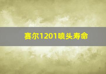 赛尔1201喷头寿命