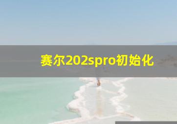 赛尔202spro初始化