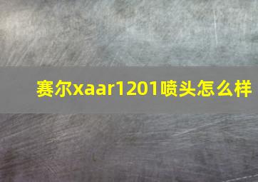 赛尔xaar1201喷头怎么样