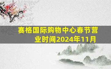 赛格国际购物中心春节营业时间2024年11月