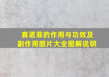 赛诺菲的作用与功效及副作用图片大全图解说明