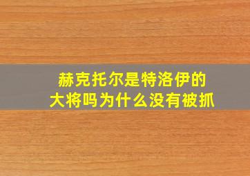 赫克托尔是特洛伊的大将吗为什么没有被抓