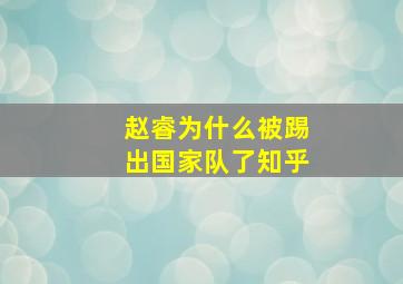 赵睿为什么被踢出国家队了知乎