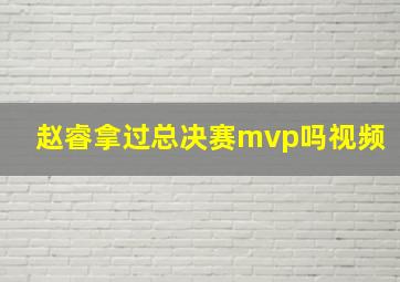 赵睿拿过总决赛mvp吗视频