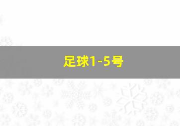 足球1-5号