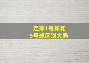 足球1号球和5号球区别大吗