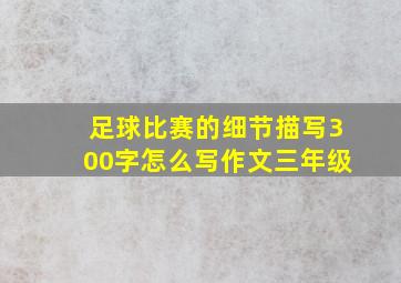 足球比赛的细节描写300字怎么写作文三年级