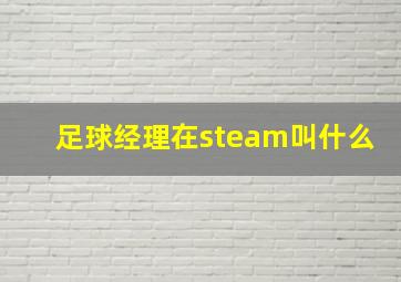 足球经理在steam叫什么