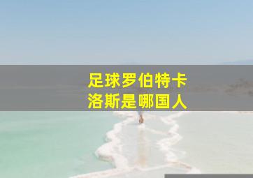 足球罗伯特卡洛斯是哪国人