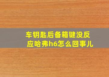 车钥匙后备箱键没反应哈弗h6怎么回事儿