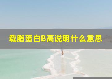 载脂蛋白B高说明什么意思