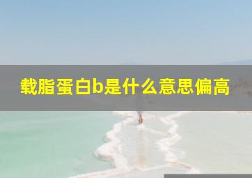 载脂蛋白b是什么意思偏高