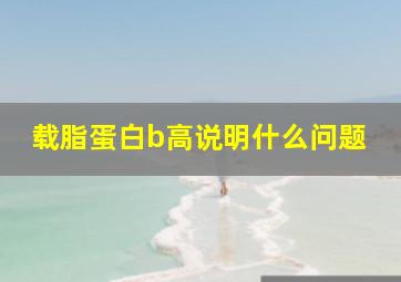 载脂蛋白b高说明什么问题