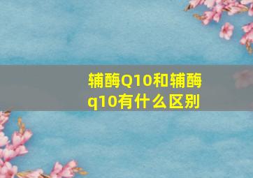 辅酶Q10和辅酶q10有什么区别