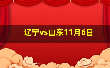 辽宁vs山东11月6日