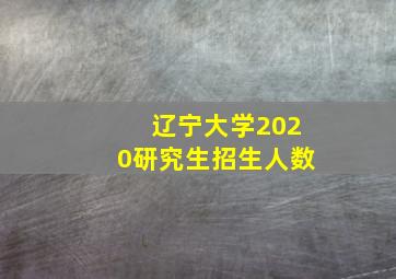 辽宁大学2020研究生招生人数