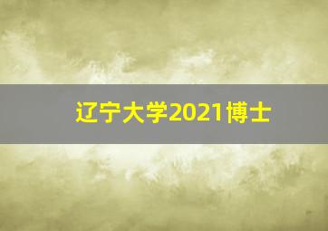 辽宁大学2021博士