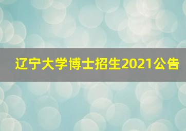 辽宁大学博士招生2021公告