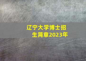 辽宁大学博士招生简章2023年